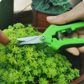 Accesorios de huerta