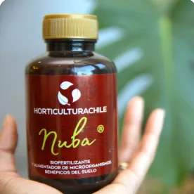 Productos ecológicos