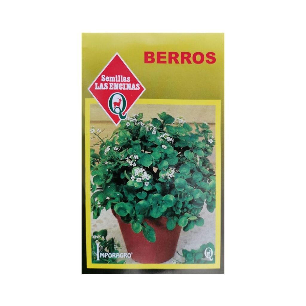 Semi Di Berro – 200 Pezzi Per Balcone E Interni, Resistenti E Facili Da Coltivare In Ufficio O Giardino
