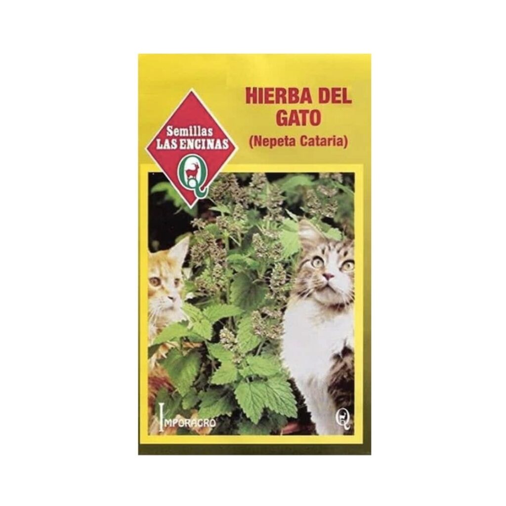 Semillas de Hierba del Gato - Rocaverde Chile