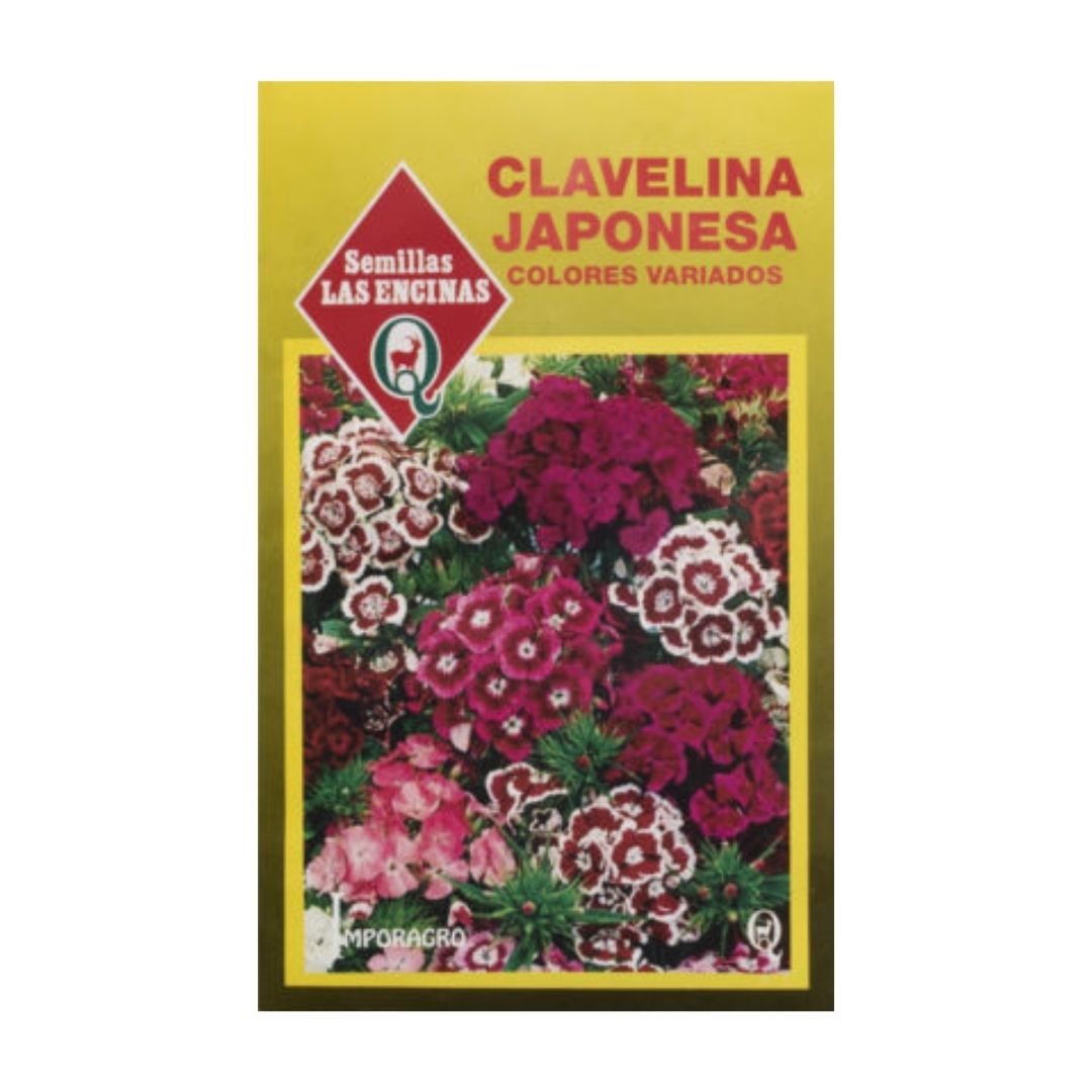 Semillas de Clavelina japonesa (Mix de colores) -