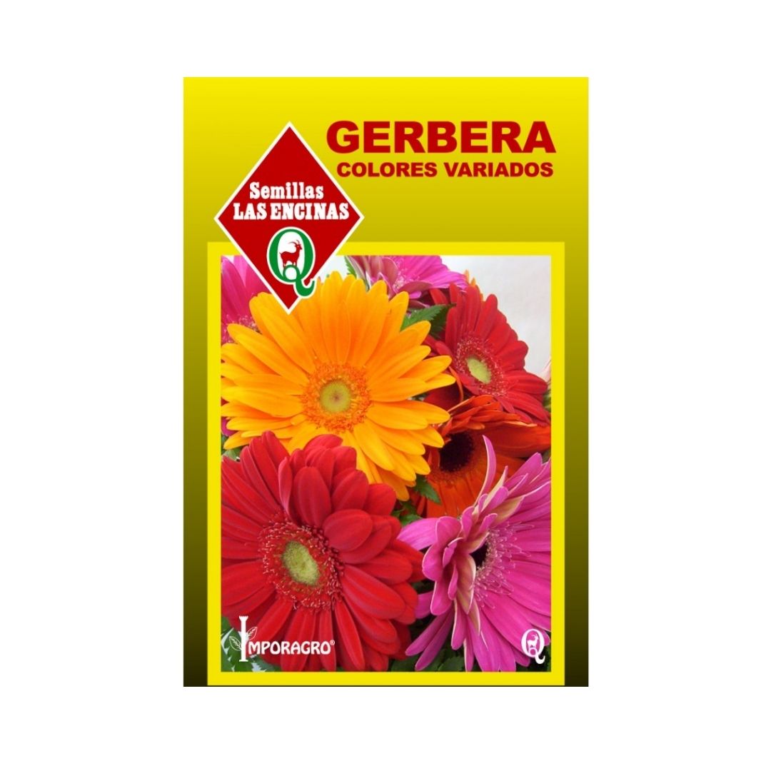 Semillas de Gerbera -