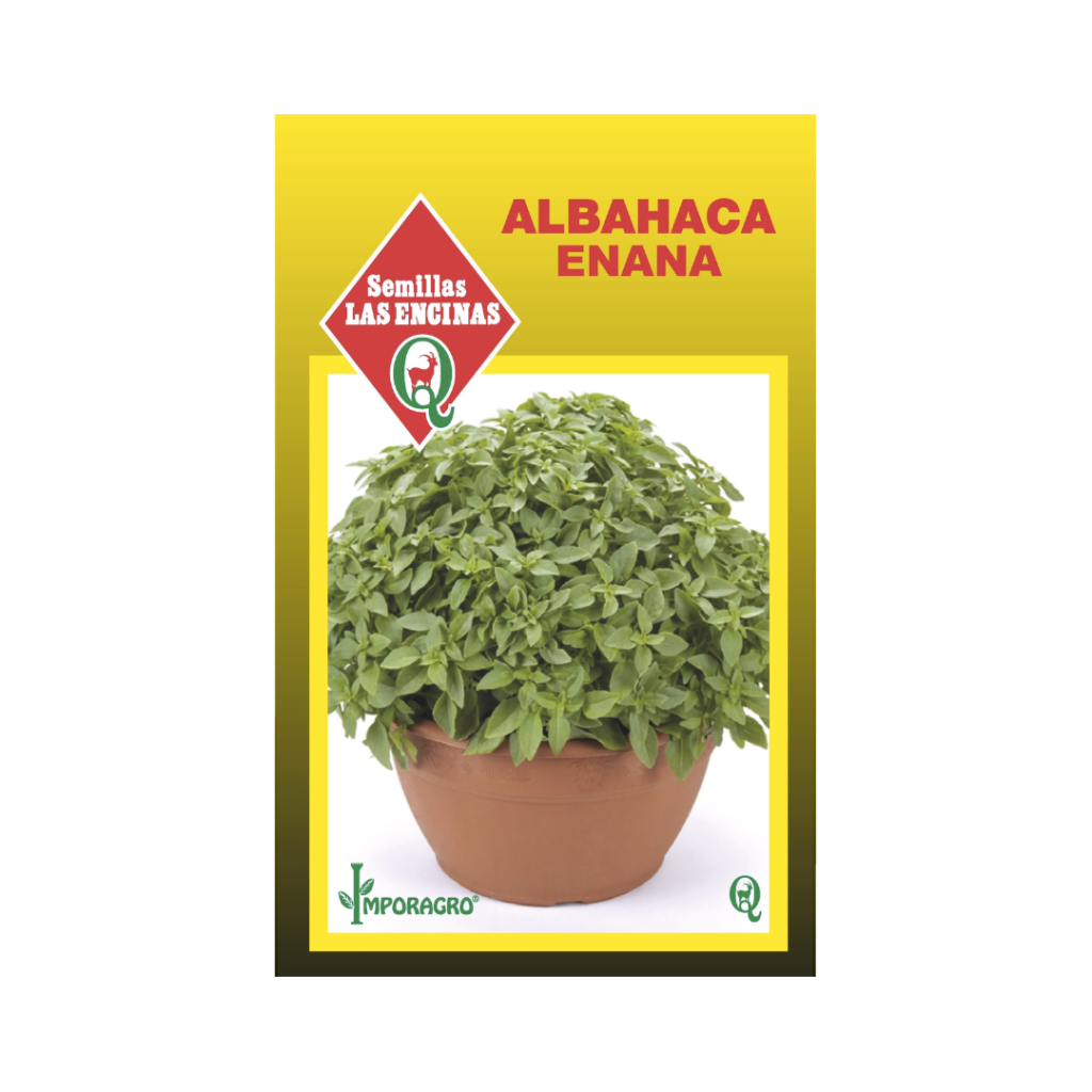 Semillas de Albahaca Enana - Rocaverde Chile