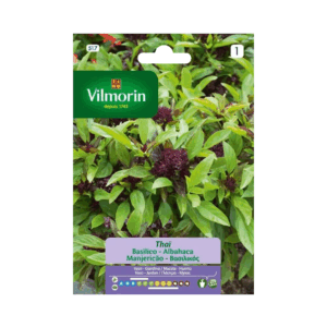 Semillas de Albahaca Thai