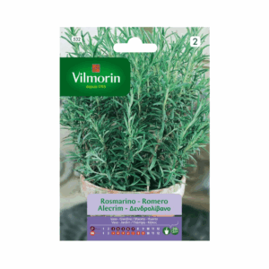 Semillas de Romero Vilmorin