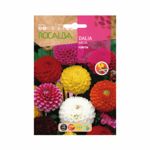 Semillas de Dalia Pompón Doble Variada