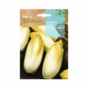 Semillas de Endivia Mechelse Middelvroeg