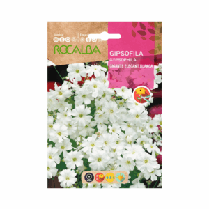 Semillas de Gipsófila Gigante Blanca