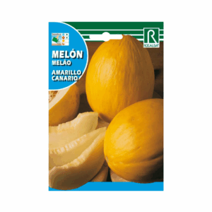 Semillas de Melón Amarillo Oro