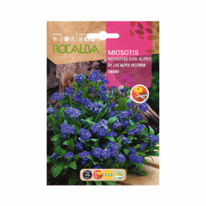 Semillas de Miosotis Enano Azul
