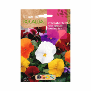 Semillas de Pensamiento Gigante Riva Bella Variado