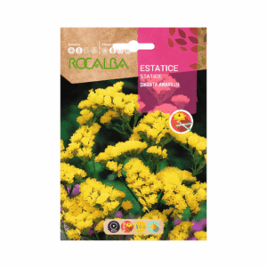 Semillas de Estátice Amarillo