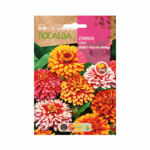Semillas de Zinnia Gigante Bicolor Variada