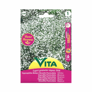 Semillas de Gipsófila paniculata blanca Vita