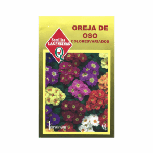 Semillas de Oreja de oso