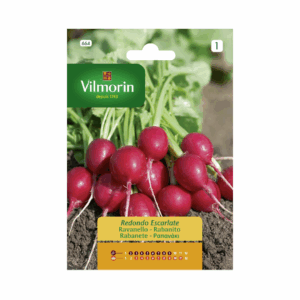 Semillas de Rabanito Redondo Escarlata