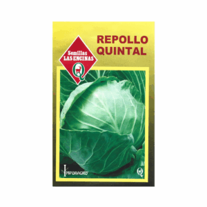 Semillas de Repollo Quintal de Alsacia