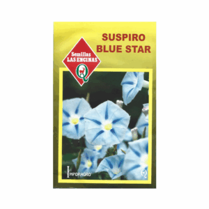 Semillas de Suspiro Blue Star