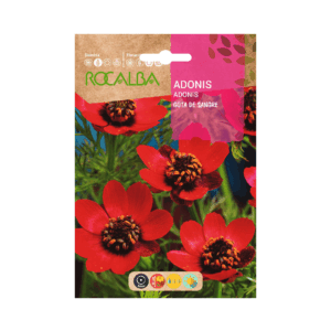 Semillas de Adonis Rojo