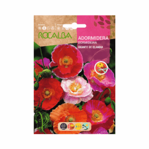 Semillas de Adormidera Gigante de Islandia Variada