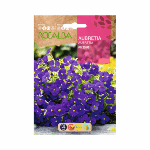 Semillas de Aubretia deltoide púrpura violeta