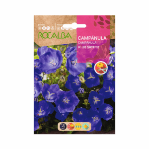 Semillas de Campánula de los Cárpatos Azul