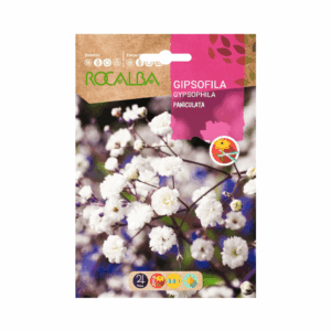Semillas de Gipsofila paniculata blanca