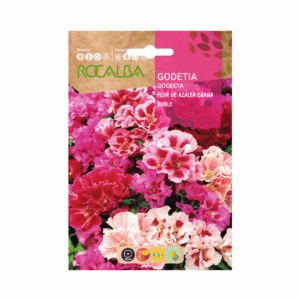 Semillas de Godetia Enana Doble