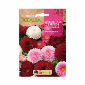 Semillas de Margarita de los prados Superenorme Doble Variada