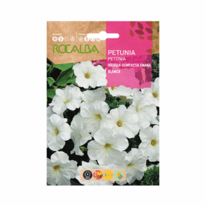 Semillas de Petunia Híbrida Compacta Enana Blanca