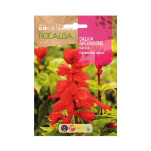 Semillas de Salvia splendens Feu Magique Enana