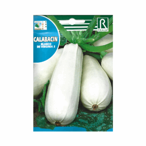 Semillas de Calabacín Blanco de Virginia 3