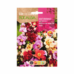 Semillas de Cartucho Enano Tom Pouce