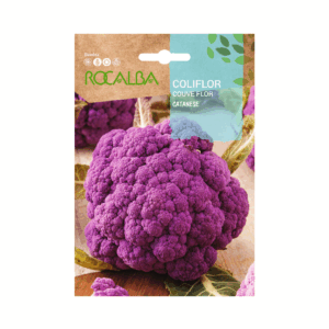 Semillas de Coliflor Catanese Morado