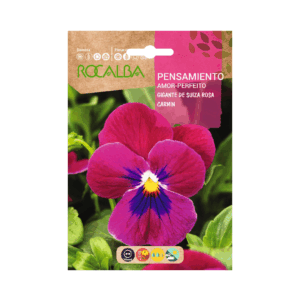 Semillas de Pensamiento Gigante de Suiza Rosa Carmín