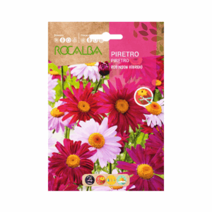 Semillas de Piretro Robinson Híbrido