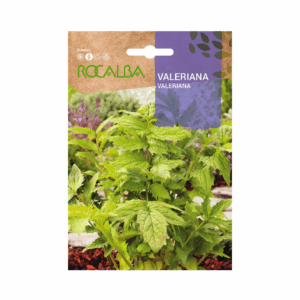 Semillas de Valeriana