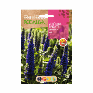 Semillas de Verónica spicata azul