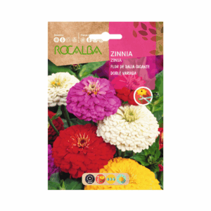 Semillas de Zinnia Flor de Dalia Gigante Doble