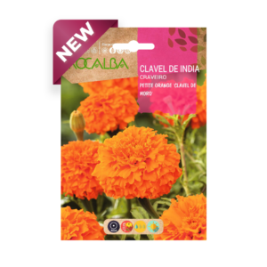 Semillas de Clavel de India Petite Orange