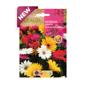 Semillas de Gerbera Rayon De Soleil Híbrida