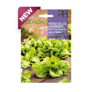 Semillas de Hierba de los Canónigos Verte de Cambrai