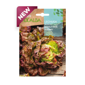 Semillas de Lechuga Maravilla Cuatro Estaciones Rocalba