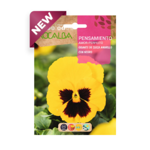 Semillas de Pensamiento Gigante de Suiza Amarillo con Negro