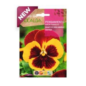 Semillas de Pensamiento Gigante de Suiza Amarillo con Rojo