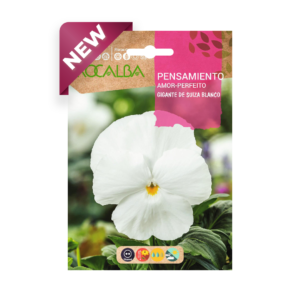 Semillas de Pensamiento Gigante de Suiza Blanco