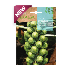 Semillas de Repollito de Bruselas Medio Enana de la Haye