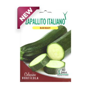 Semillas de Zapallito Italiano Black Beauty