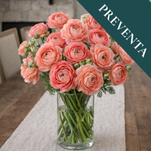 Bulbos de Ranúnculos Salmón (Pack de 5)