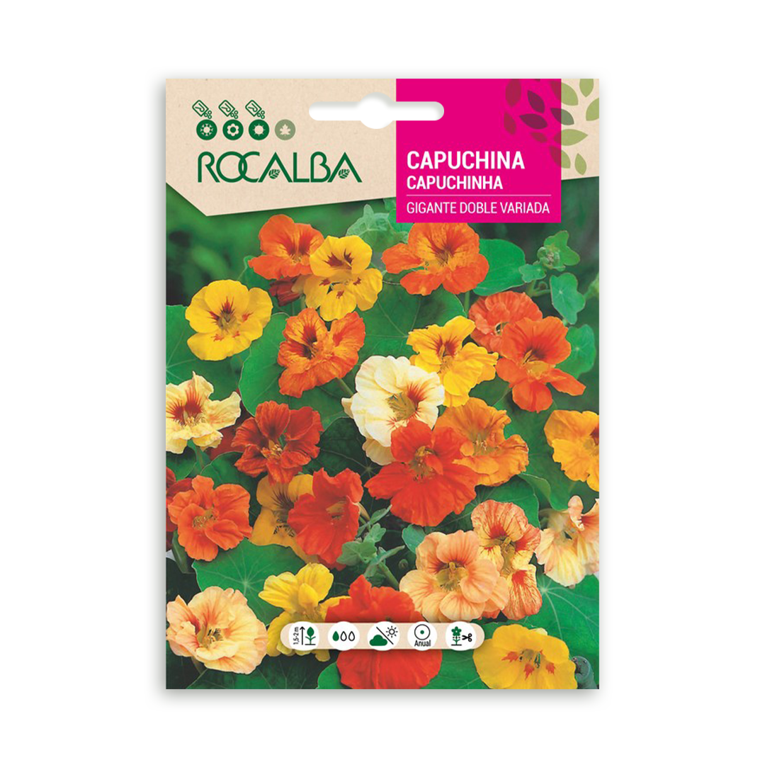 Semillas de Capuchina Gigante Doble Variada - Imagen 2